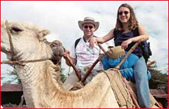 Camel Safari, Rajasthan Tour & Travel