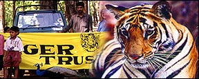 Tiger Trust